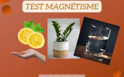 Comment tester son magnétisme