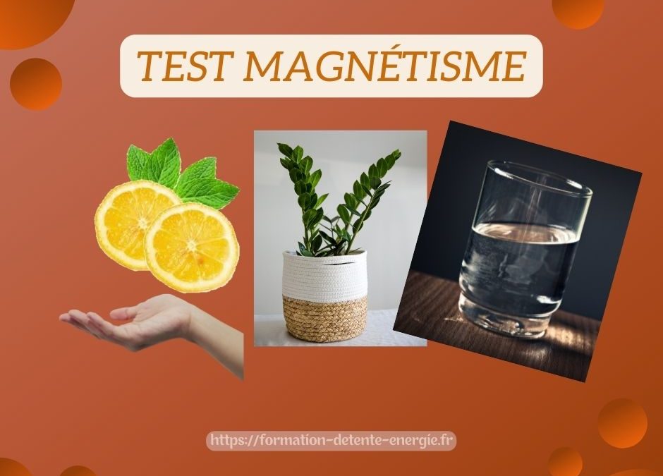 tests magnetisme