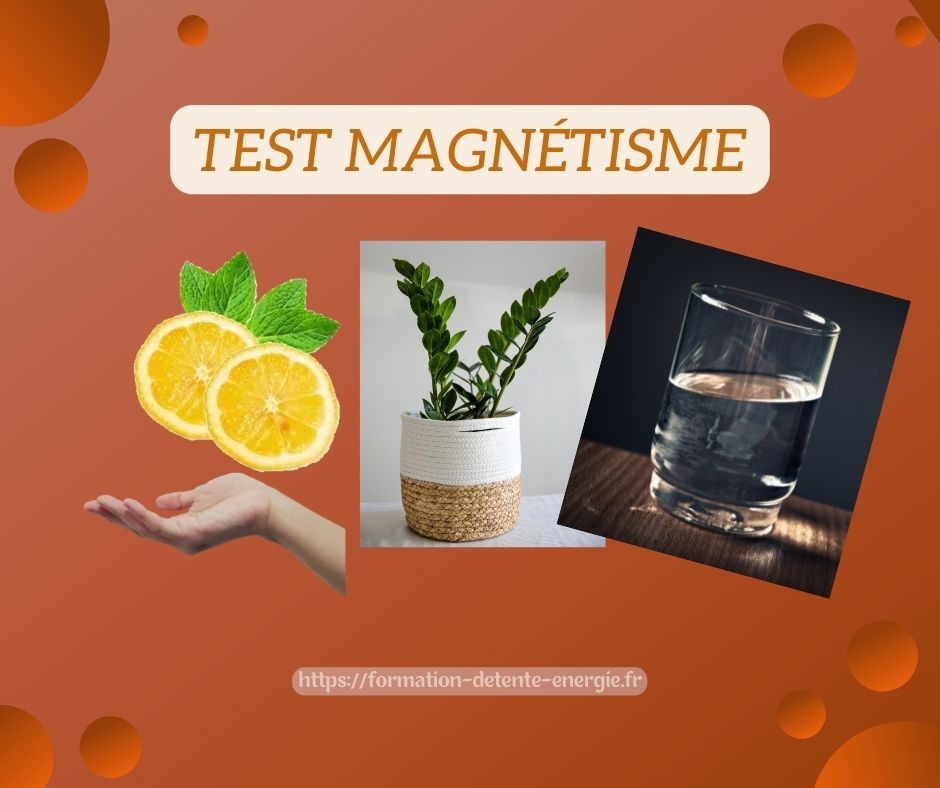 tests magnetisme