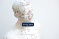 apprendre le tong ren avec un mannequin d'acupuncture
